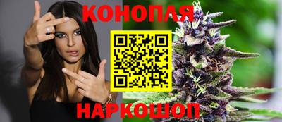 гашик Дубна