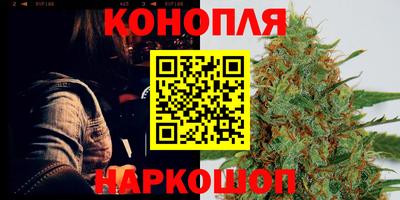 гашик Дубна
