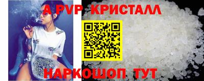 гашик Дубна