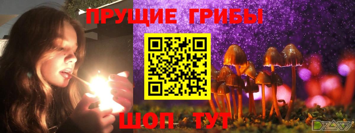 Галлюциногенные грибы Magic Shrooms  Вход с VPN  Минеральные Воды  Псилоцибиновые грибы Psilocybine cubensis 